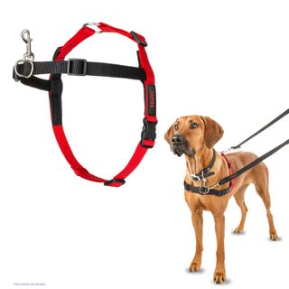 Halti Front Control Harness BlackRed Large