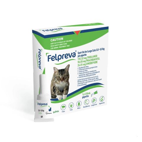 FELPREVA LARGE CATS 5-8KG SPOTON 1PK