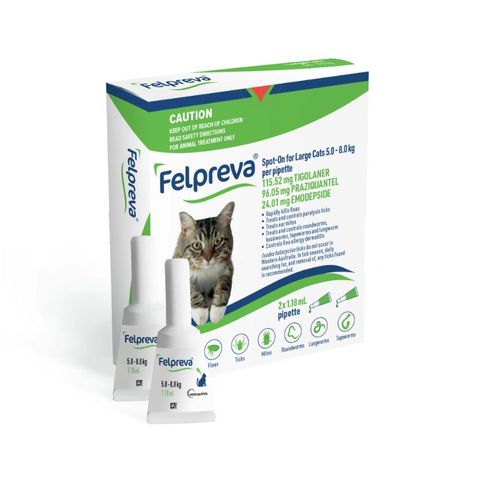 FELPREVA LARGE CATS 5-8KG SPOTON 2PK