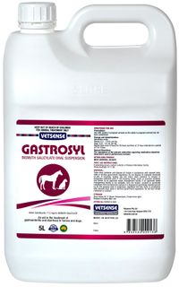 Vetsense Gastrosyl for Horses & Dogs 5L