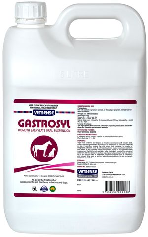 Vetsense Gastrosyl for Horses & Dogs 5L