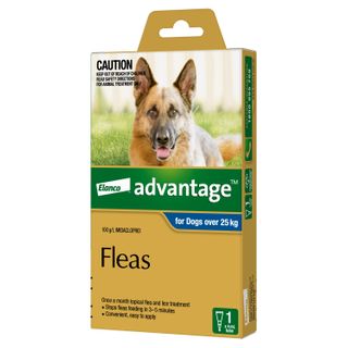 ADVANTAGE EXTRA LARGE DOG 25-50KG 1PACK *DATED 30 JUNE 2025