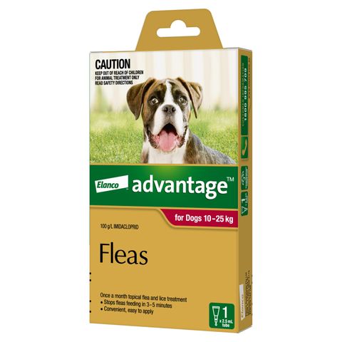 ADVANTAGE LARGE DOG 10-25KG 1PACK *DATED 30 AUGUST 2025