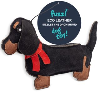 Eco Leather Sizzles the Dachshund