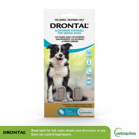 Drontal Allwormer® Chews, For Medium Dogs, 2 Chews
