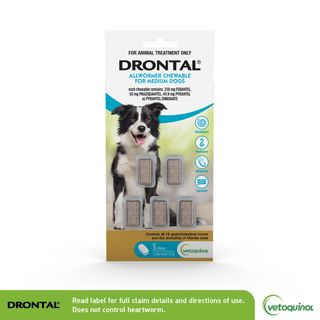 Drontal Allwormer® Chews, For Medium Dogs, 5 Chews