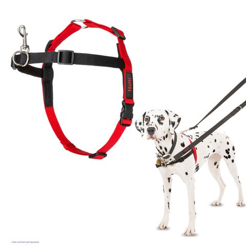 Halti Front Control Harness BlackRed Medium