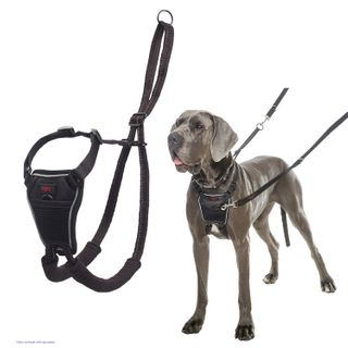 HALTI NO PULL HARNESS BLACK LARGE