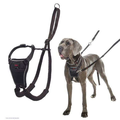 HALTI NO PULL HARNESS BLACK LARGE