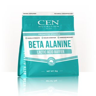 CEN NUTRITION BETA ALANINE 1KG