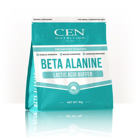 CEN NUTRITION BETA ALANINE 1KG