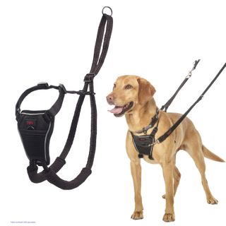 HALTI NO PULL HARNESS BLACK MEDIUM