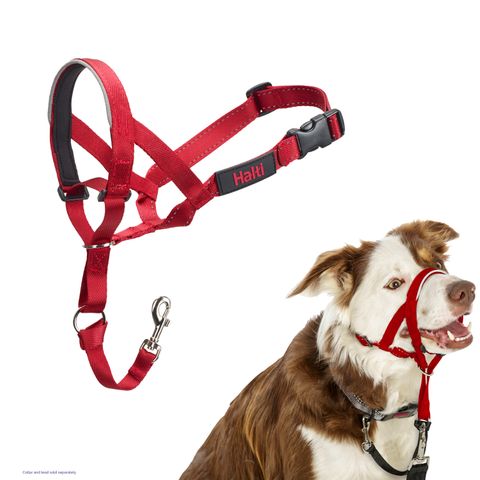 Halti Headcollar Red Size 2