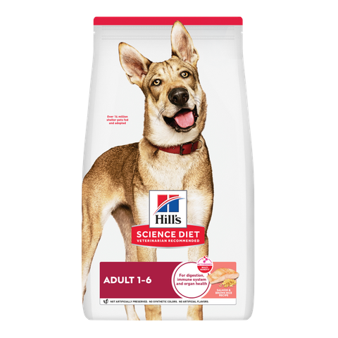 Science Diet Adult Salmon Dry Dog Food 14.9kg
