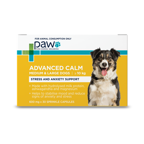 Advanced Calm Medium & Large Dogs (30)
