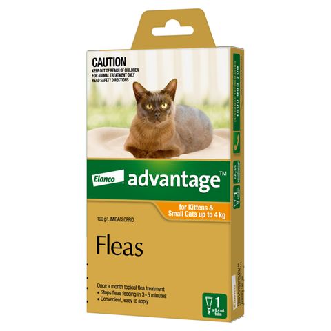 ADVANTAGE SMALL CAT 0-4KG 1PACK *DATED 30 SEP 2026