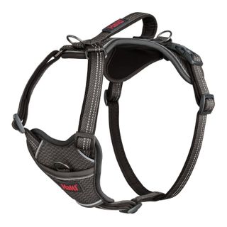 Halti Anatomy Harness Grey Medium
