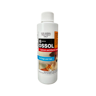 INCA OSSOL CALCIUM & VITAMIN 250ML