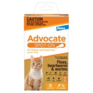 ADVOCATE CAT SMALL ORANGE 0-4KG 1PACK