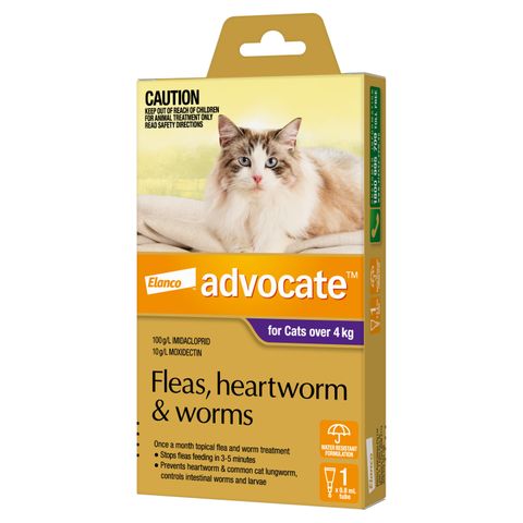 ADVOCATE CAT LARGE PURPLE OVER 4KG 1PACK