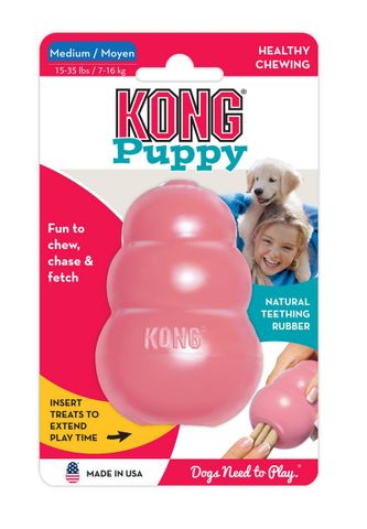 KONG PUPPY MEDIUM KP2