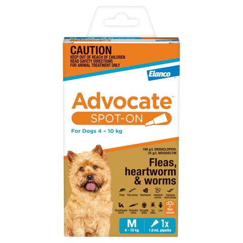 ADVOCATE DOG MEDIUM AQUA 4-10KG 1PACK
