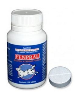 FENPRAL DOG ALLWORMER 10KG 100TABS