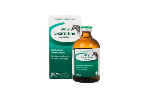 CEVA L-CARNITINE 100ML