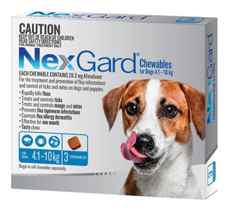 NexGard for Small Dogs 4.1-10kg 3pk Flea, Tick, Lice & Mite Treatment for Dogs
