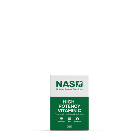 NATURAL ANIMAL SOLUTIONS HIGH POTENCY VITAMIN C 100G