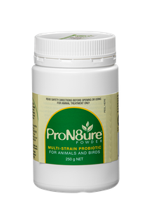 INTERNATIONAL ANIMAL HEALTH PRON8URE POWDER 250G GREEN (PROTEXIN)