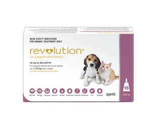 REVOLUTION PUPPY & KITTEN UP2.5KG 15PACK