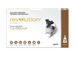 REVOLUTION MEDIUM DOG 5.1-10KG 3PACK