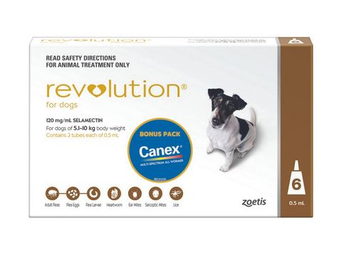 REVOLUTION MEDIUM DOG 5.1-10KG 6PACK