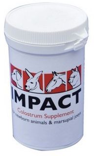 PASSWELL IMPACT COLOSTRUM 25G