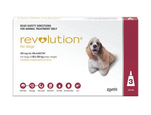 REVOLUTION LARGE DOG 10.1-20KG RED 3PACK