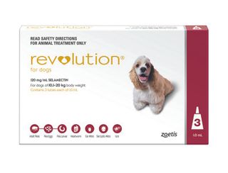 REVOLUTION LARGE DOG 10.1-20KG RED 3PACK