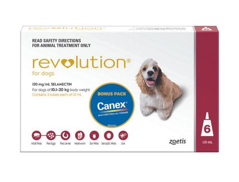 REVOLUTION LARGE DOG 10.1-20KG RED 6PACK