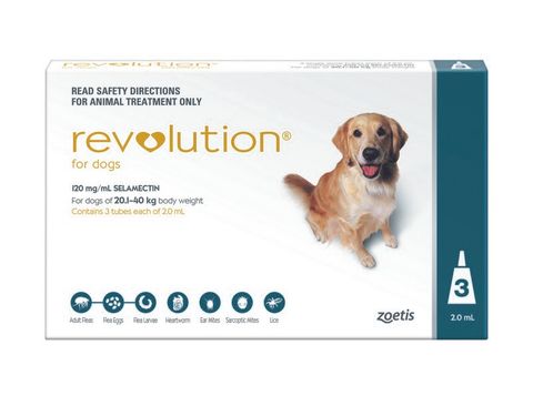 REVOLUTION EXTRA LARGE DOG 20-40KG 3PACK