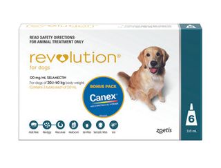 REVOLUTION EXTRA LARGE DOG 20-40KG 6PACK