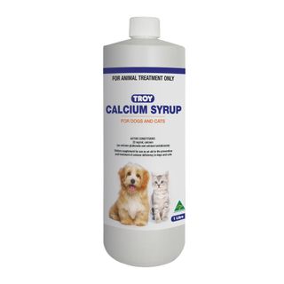 TROY CALCIUM SYRUP 1L