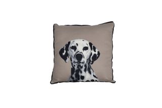 MOG AND BONE CUSHION DALMATIAN