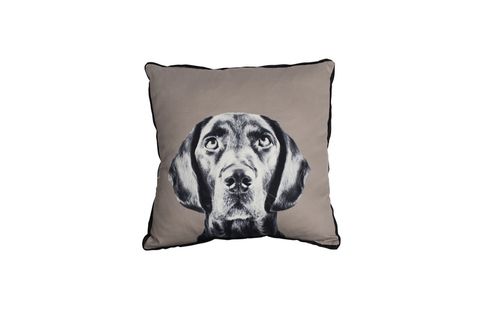 MOG AND BONE CUSHION LABRADOR