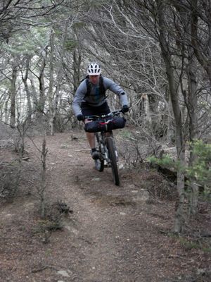 STEVE - BACK OF FOWLERS PASS, ST JAMES CONSERVATION AREA