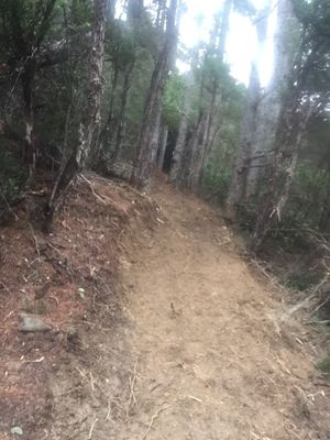 EARLY DAYS ON TOMBSTONE TRAIL, 2018