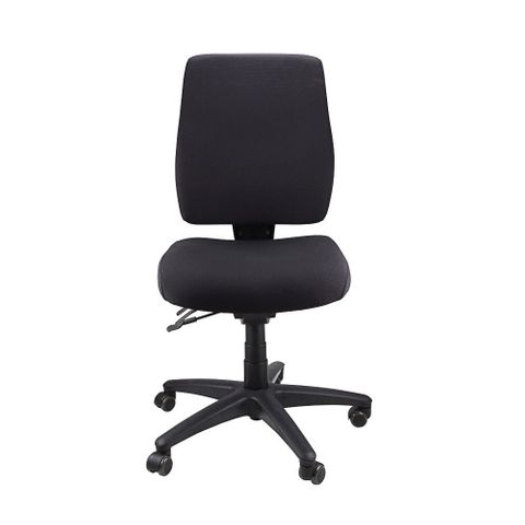 Ergoform Chair Range - No Arms - 160kg