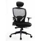 Venus Mesh Chair Arms Syncro Black. Polish Base