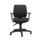 Ergo Midi Chair Small Seat Adj Arms SS 160kg Black