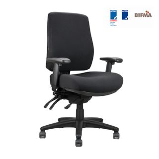Ergoform HB Standard Seat Adj Arms SS Black 160kg