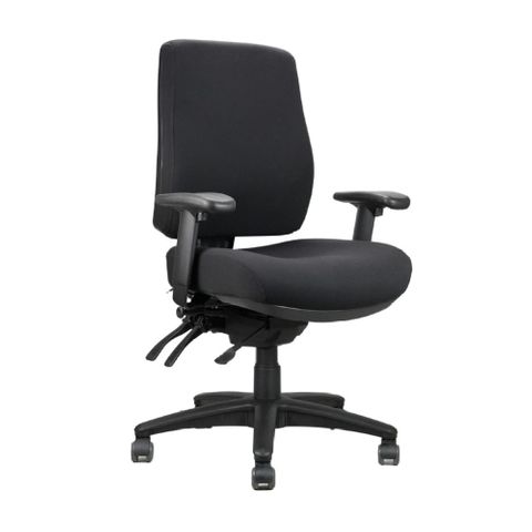 Ergoform Chair Range with Arms - 160kg